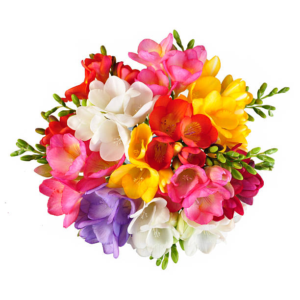 istock Bouquet Top View Colorful Spring Flowers Isolated on White 2223072590