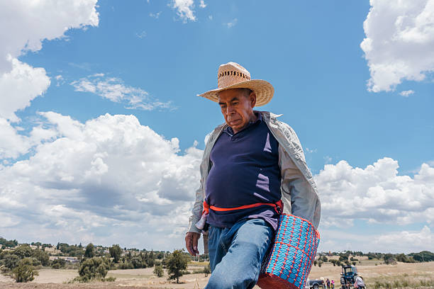 Senior adult mexican farmer walking in a corn field under a cloudy sky, carrying a basket