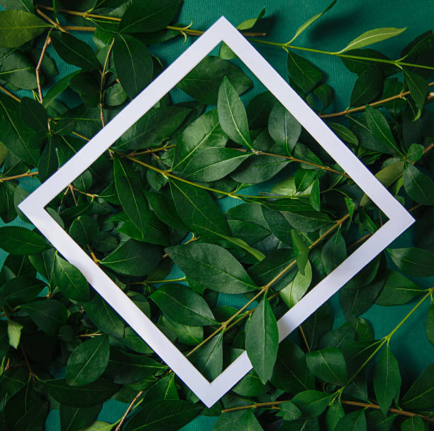 istock Creative layout made of green leaves with white paper frame 2223073357