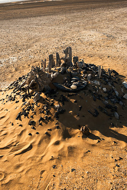 Ash-covered hills in Egypt's Black Desert under a clear sky, scenic and remote landscape. Volcanic mountains