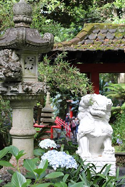 istock Monte Palace Madeira - Tropical garden 2223083213
