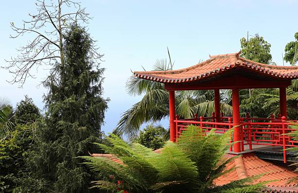 istock Monte Palace Madeira - Tropical garden 2223083478