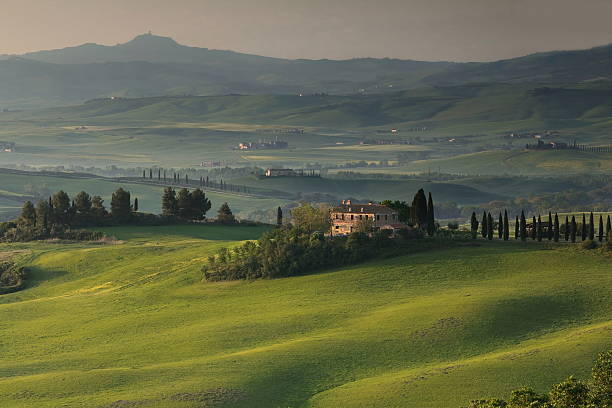 istock Hazy sunrise on Val d'Orcia Valley, podere -farmsteads- among rolling hills, green cereal fields and orchards. San Quirico d'Orcia-Tuscany-Italy-007 2223085337