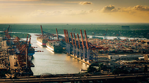 Aerial view of Hamburg Harbor showcasing cranes and containerships at a jetty in soft golden light.