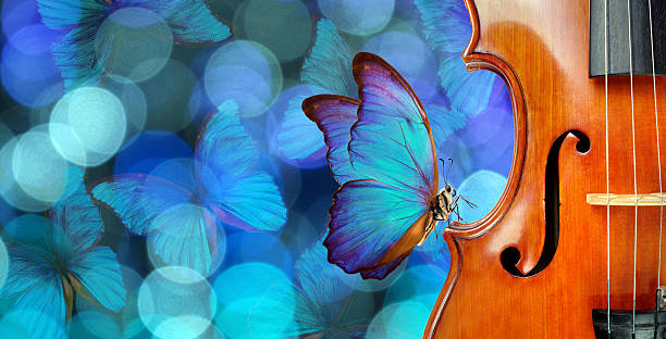 istock Melody concept. Butterfly sitting on a violin. Violin on a blurry blue background. Blurry lights and blue morpho butterflies. Blurry garland with blue lights and flying butterflies. Fragment of violin 2223089310