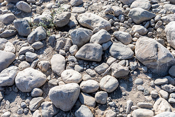 Natural river stones and pebbles are scattered across a sunlit riverbank, showcasing a variety of shapes and sizes, creating a textured landscape that highlights the beauty of nature's elements