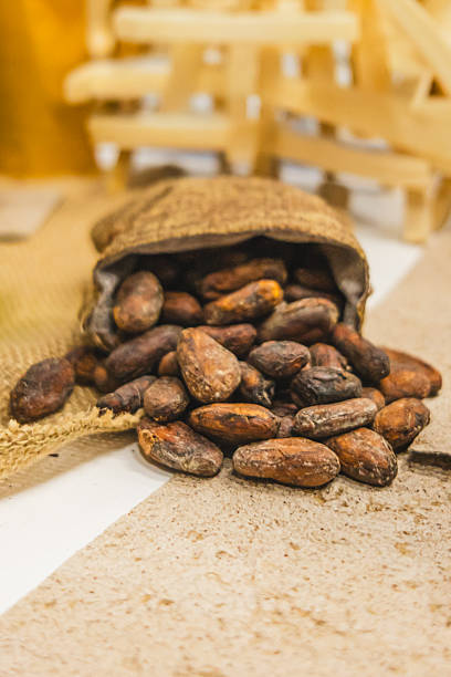 Traditional Peru food