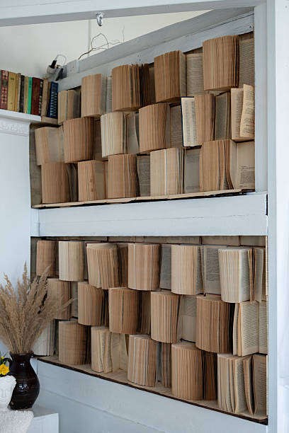 artistic display of numerous open vintage books creating a textured literary backdrop in a cozy indoor setting adorned with decorative elements and dried plants, aesthetic, serene, inviting, warm