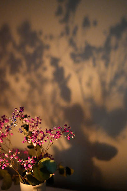 istock scene, tranquil, cup, wall, atmosphere, bouquet, flower, dim, color, mood, white, candle, foreground, shadow, picturesque, floral, artistic, creative, aesthetic, beauty 2223096561