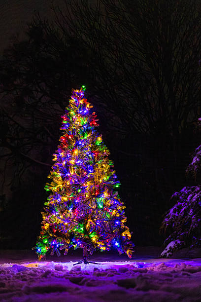 istock Colorful Christmas Tree Lit up Outdoors in the Snow with Trees 2223104114