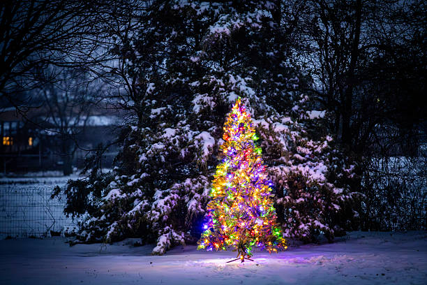 istock Colorful Christmas Tree Lit up Outdoors in the Snow with Trees 2223104168