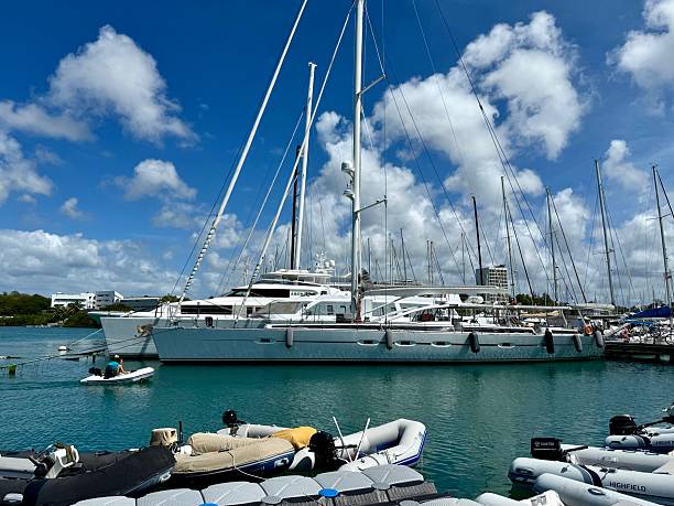 istock Sailboats in a marina 2223105992