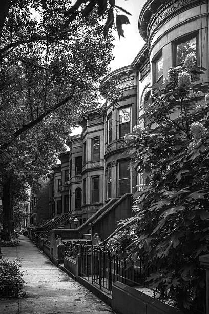 istock Brooklyn historic district in New York 2223107049