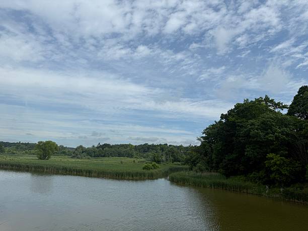 istock Rouge National Urban Park, Toronto 2223109183