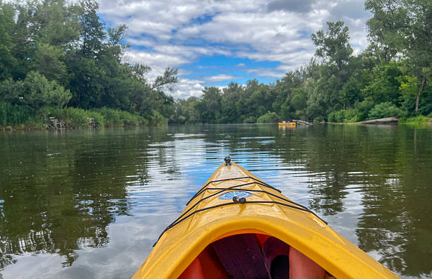 istock Kayaking on calm river under cloudy sky with lush green trees 2223122041
