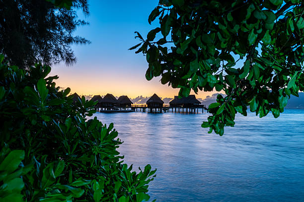 Bungalow in harbour
