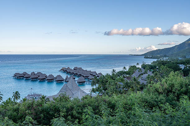 istock Toatea Lookout in Moorea 2223131562