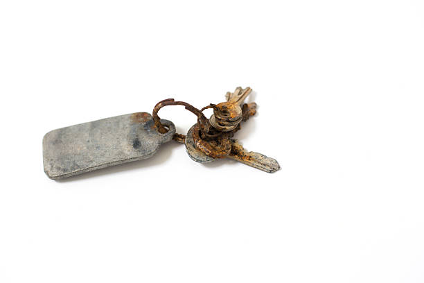 Two door keys and square blank label on ring. 3D illustration, isolated on white background