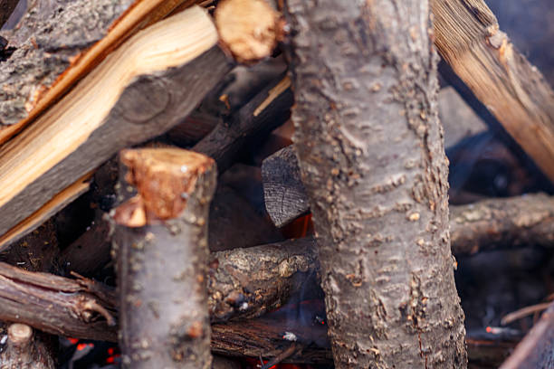 Fire in the grill for cooking meat.