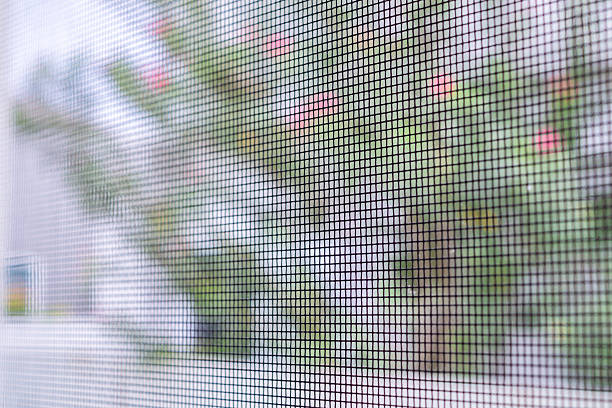 istock mosquito net wire screen on house window protection against insect 2223134834