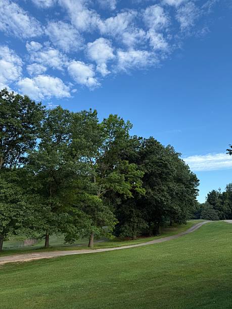 istock View of the blue sky and trees from a Michigan deck. 2223137205