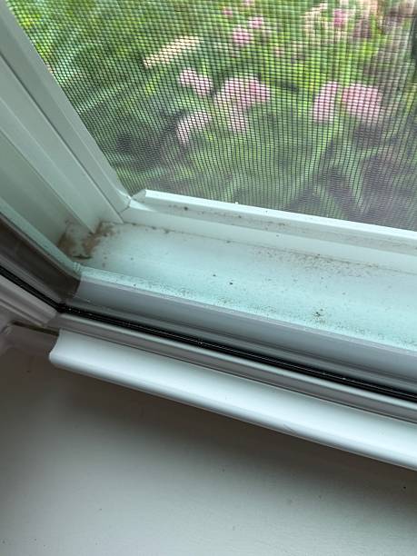 istock Dirt at the bottom of a window frame 2223137412