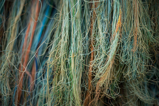 Fishing Net Torn At The Ends in Bothell, Washington, United States
