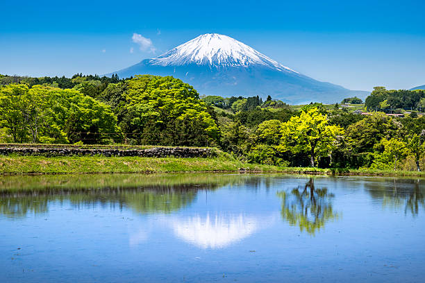 istock Rice terraces in spring and Mt. Fuji in snow 2223143107