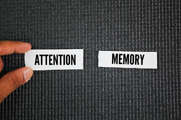 istock two keywords related to cognitive functions: Attention and Memory. Attention refers to the ability to focus on specific information while ignoring distractions, while memory is the ability to encode 2223145330