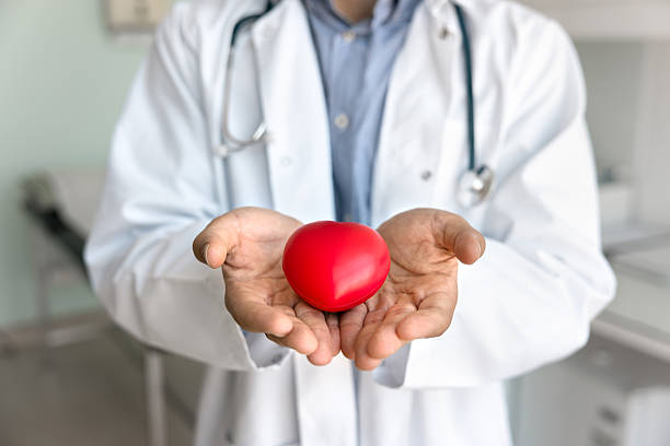 istock Male hands showing toy tiny red heart on open palms 2223145528