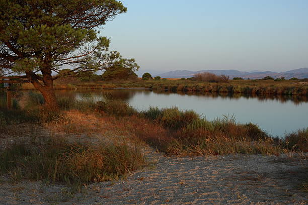 Natural view in a protected  Park in Occitanie