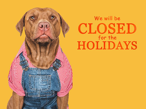istock Signboard We will be closed for the Holidays 2223149740
