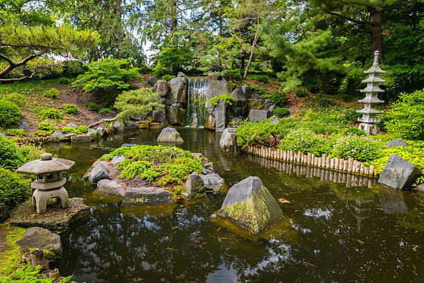 Beautiful Japanese garden view with waterfall and pond at Minnesota Arboretum