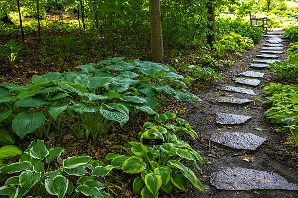 Scenic waterfall at Minnesota Landscape Arboretum