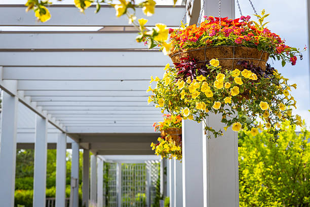 istock Lush plants and scenic buildings on sunny summer day 2223152123