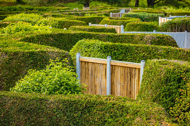 labyrinth maze attraction at Minnesota Landscape Arboretum park