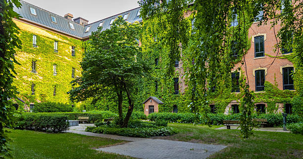 istock Ivy-Covered Buildings at Saint John's University 2223153457