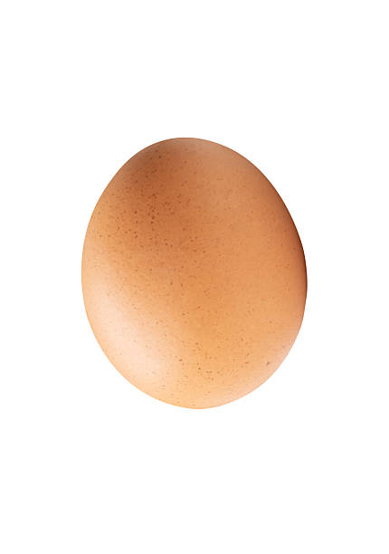 istock Top view of single brown chicken egg isolated on white background with clipping path 2223153578