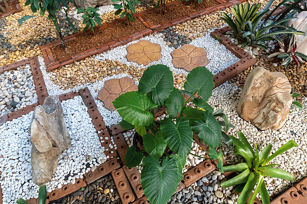 istock Decorate a small vertical garden inside the building. 2223153757
