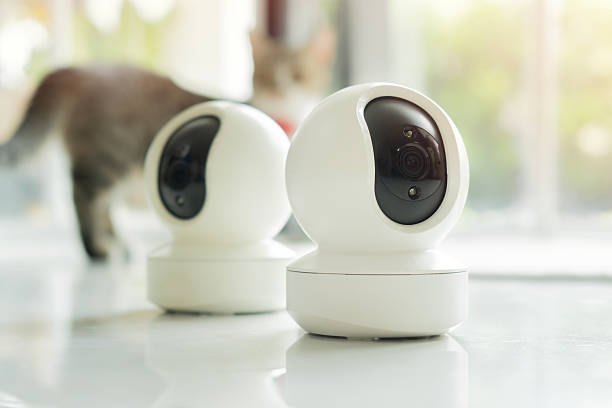 istock Two smart home security cameras rests on a floor while a curious cat explores the bright room 2223161887