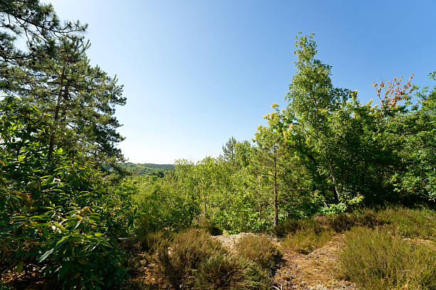 istock Hillside of the Essonne valley 2223164001