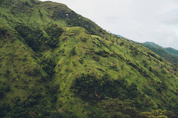istock Lush green mountains rising under a cloudy sky 2223166056