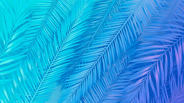 istock Tropical palm leaves minimal summer background 2223170236