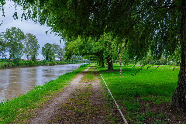 A tranquil path runs alongside a calm river, flanked by lush green trees and grassy fields under an overcast sky