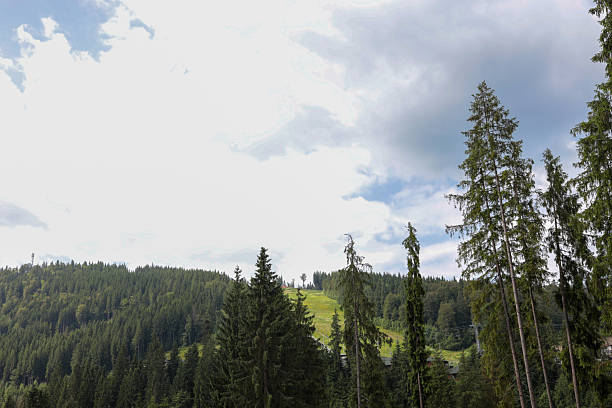 istock Pine-covered Carpathian mountain slope with a bright green meadow clearing beneath a dramatic summer sky filled with billowing clouds 2223175616