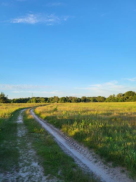 istock Country road through a blooming field at sunset 2223180235