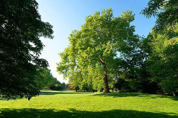Montsouris park in the 14th arrondissement of Paris city