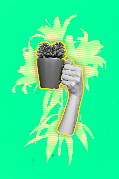 istock Creative composite sketch design artwork collage of hand gesture showing body language hold cup drink tea coffee flower organic cactus 2223181525