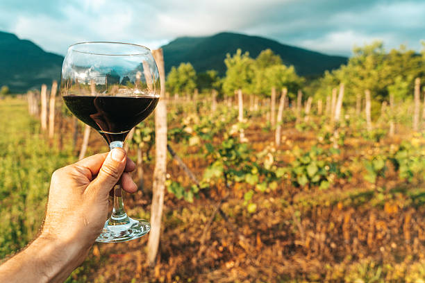istock Hand Holding Red Wine Glass in Vineyard on a Summer Day 2223182266