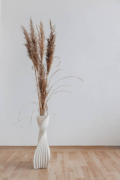 istock Minimalist Pampas Grass in White Vase with Copy Space. 2223184611